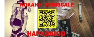 дмт Славгород