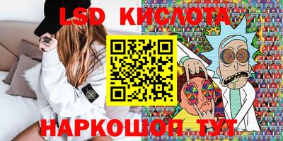 ГАЛЛЮЦИНОГЕННЫЕ ГРИБЫ Сланцы