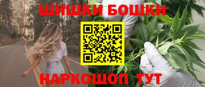 дмт Славгород