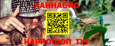 дмт Славгород