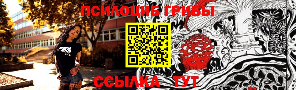 Новозыбков  Галлюциногенные грибы мухоморы  купить   Вход с VPN 