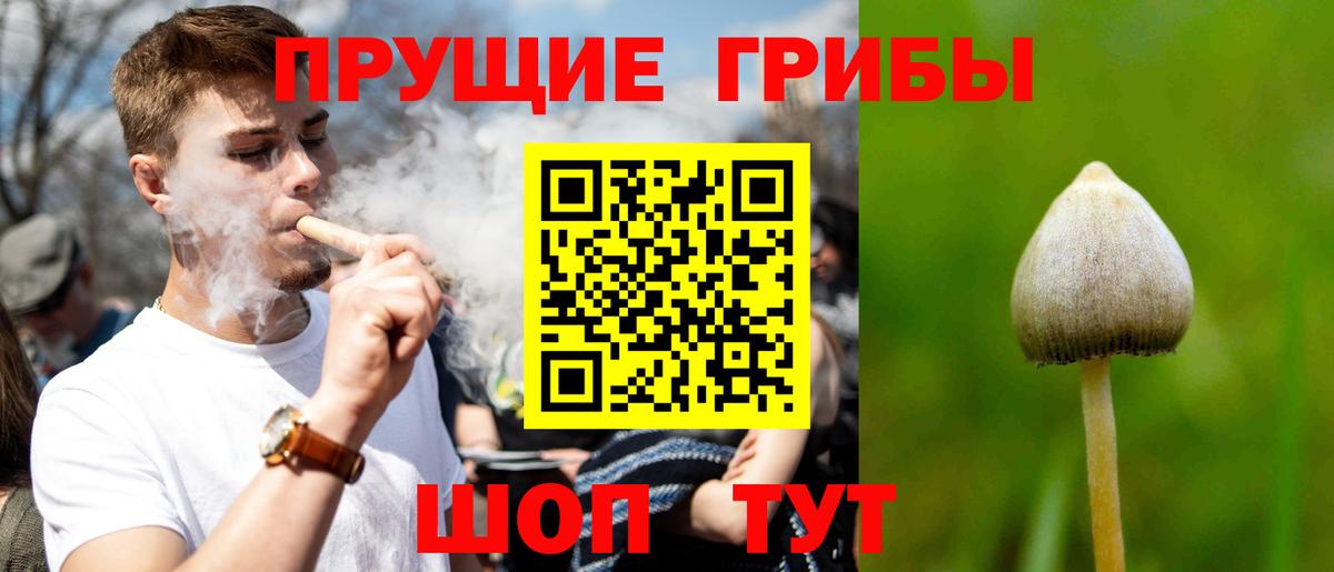 Псилоцибиновые грибы MAGIC MUSHROOMS Новозыбков